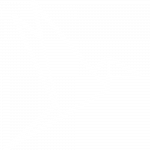 cryptogain bird icon
